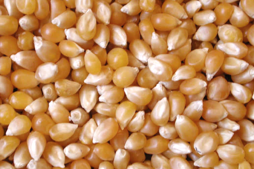 3-Pack White Popping Kernels 2lbs Each